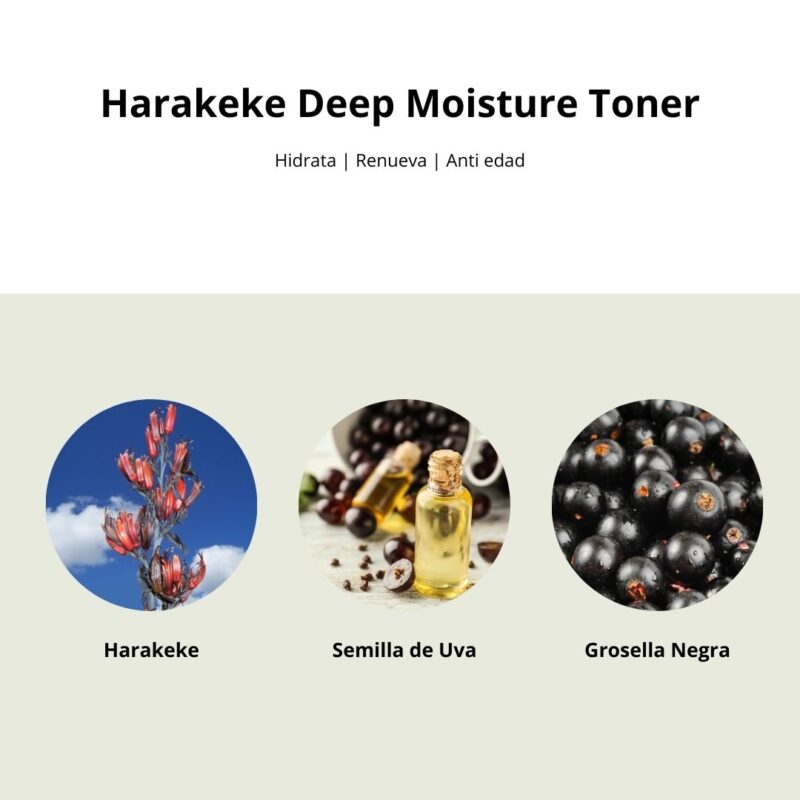 Tsi000322 Harakeke Deep Moisture Toner 007