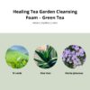 Tsi000802 Healing Tea Garden Cleansing Foam – Green Tea 010