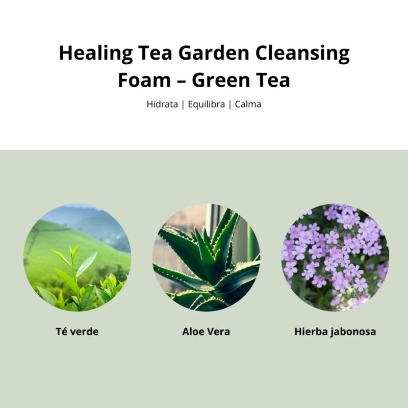 Tsi000802 Healing Tea Garden Cleansing Foam – Green Tea 010