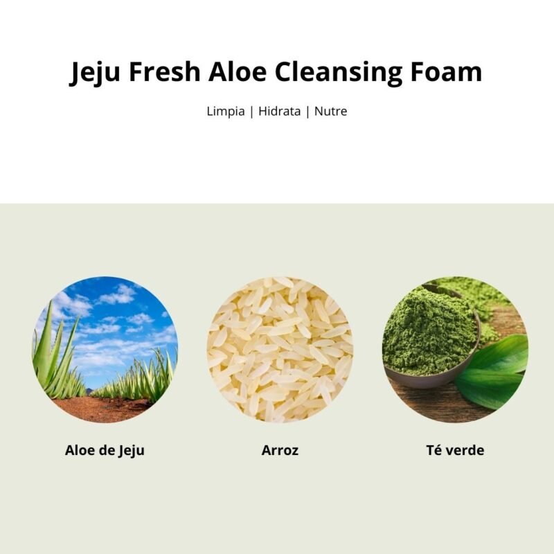 Tsi000231 Jeju Fresh Aloe Cleansing Foam 008