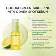 Green Tangerine Vita C Dark Spot Serum Plus (Set)