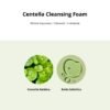 Sku Mixsoon Centella Cleansing Foam 009