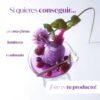 Eqq bakuchiol plumping serum 0005
