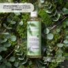 DIR000101 DIRTY LAUNDRY ALL IN ONE WASH EUCALYPTUS