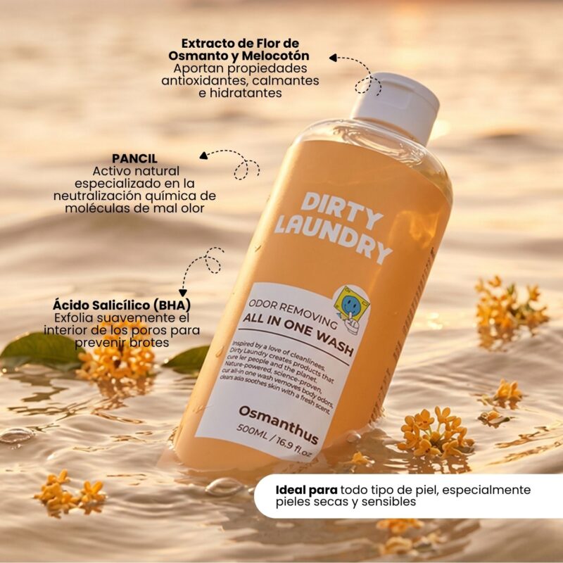 DIR000104 DIRTY LAUNDRY ALL IN ONE WASH OSMATHUS