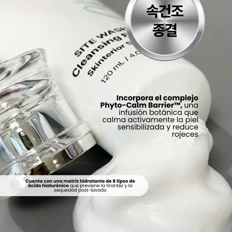 YYY058001 Skinterior Step 0. SITE WASH Cleansing Foam